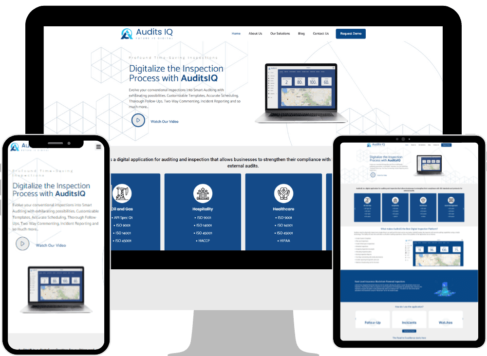 Audits-IQ — screenshot 4 of 4